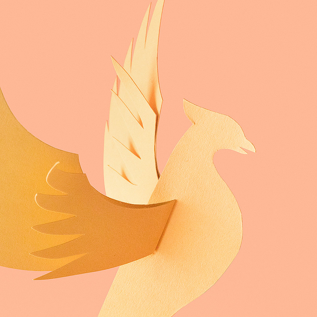 redesign-phoenix-detail1